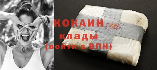 крисы Белокуриха