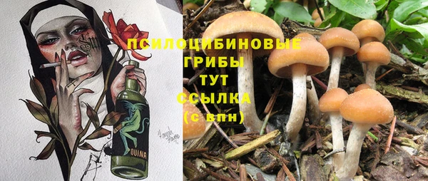 прущий лед Белоозёрский