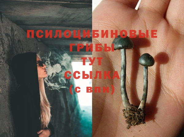 прущий лед Белоозёрский