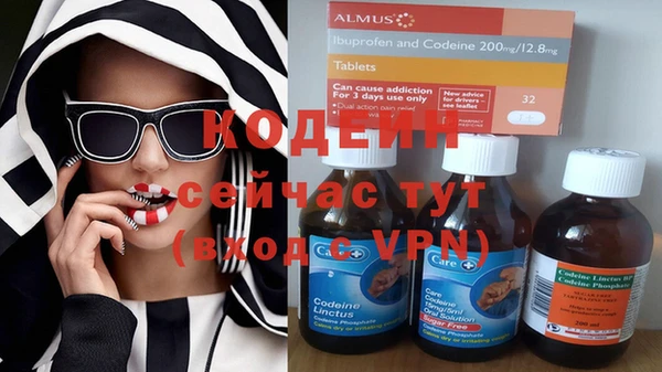 крисы Белокуриха